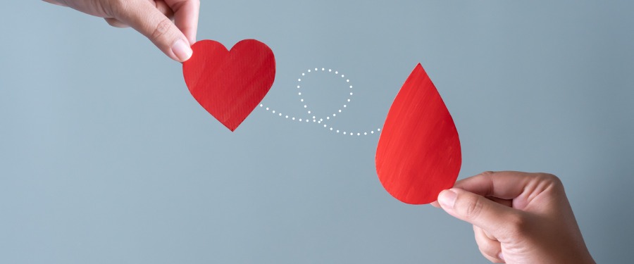 Hand holding paper heart and paper blood drop to share key hemophilia facts Hand holding paper heart and paper blood drop to share key hemophilia facts