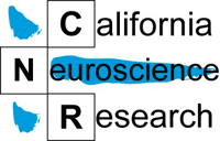 ca neuroo
