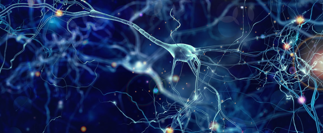 alzheimers-research-neurons