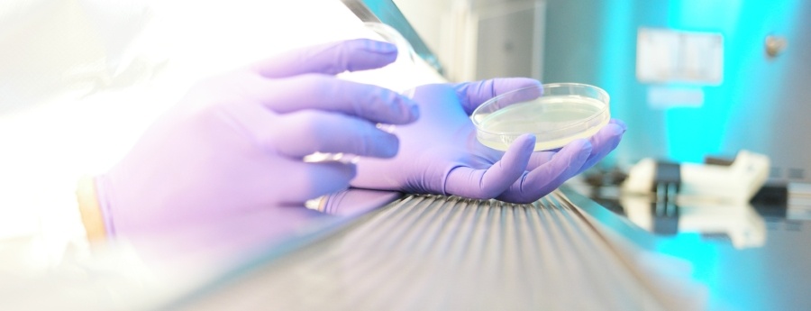 The latest MS research news The latest MS research news