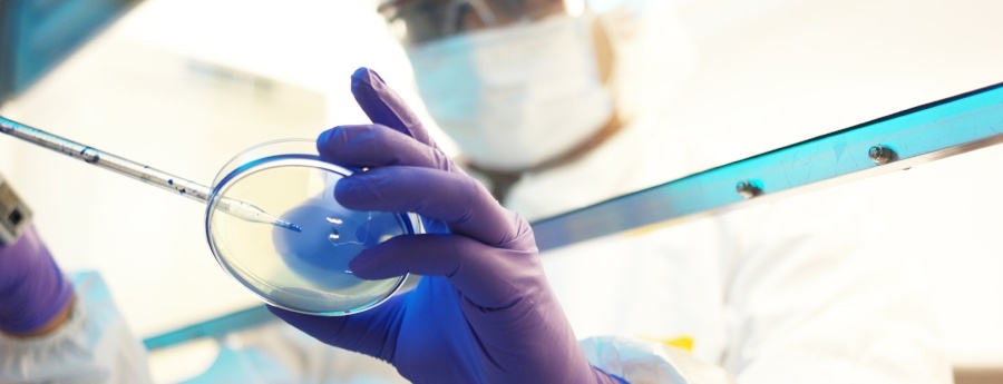 kidney disease research kidney disease research