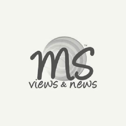 MS Views News