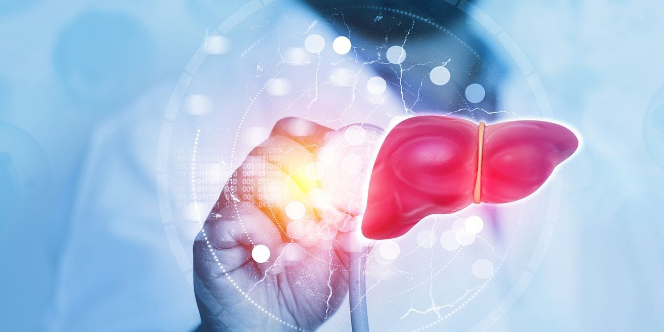 Illustration of liver with primary sclerosing cholangitis