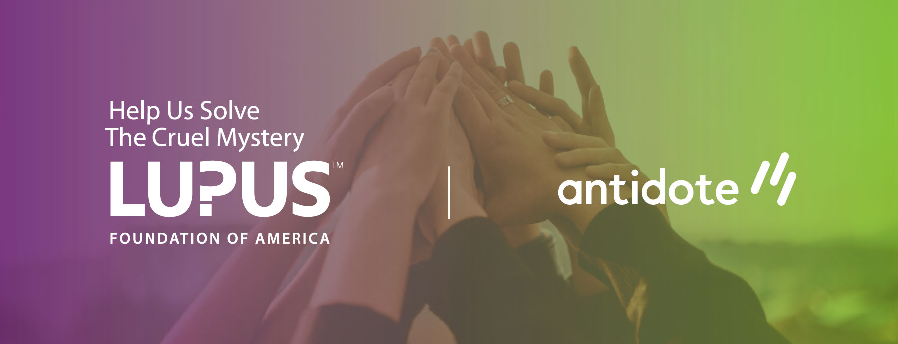 Announcing Our Newest Partner: the Lupus Foundation of America
