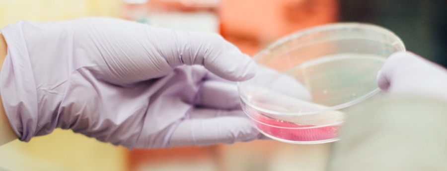 From research studies to your pharmacy shelves: the drug development process