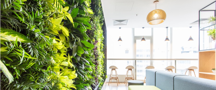 Modern office with plant wall installment